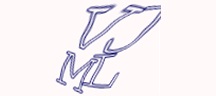 Visual Challenge