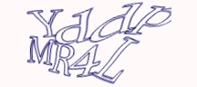 Visual Challenge